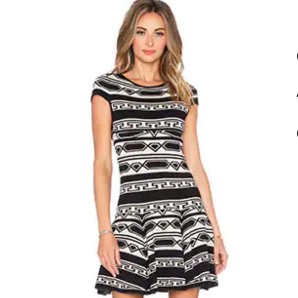 Alice + Olivia Black and White Mini Dress